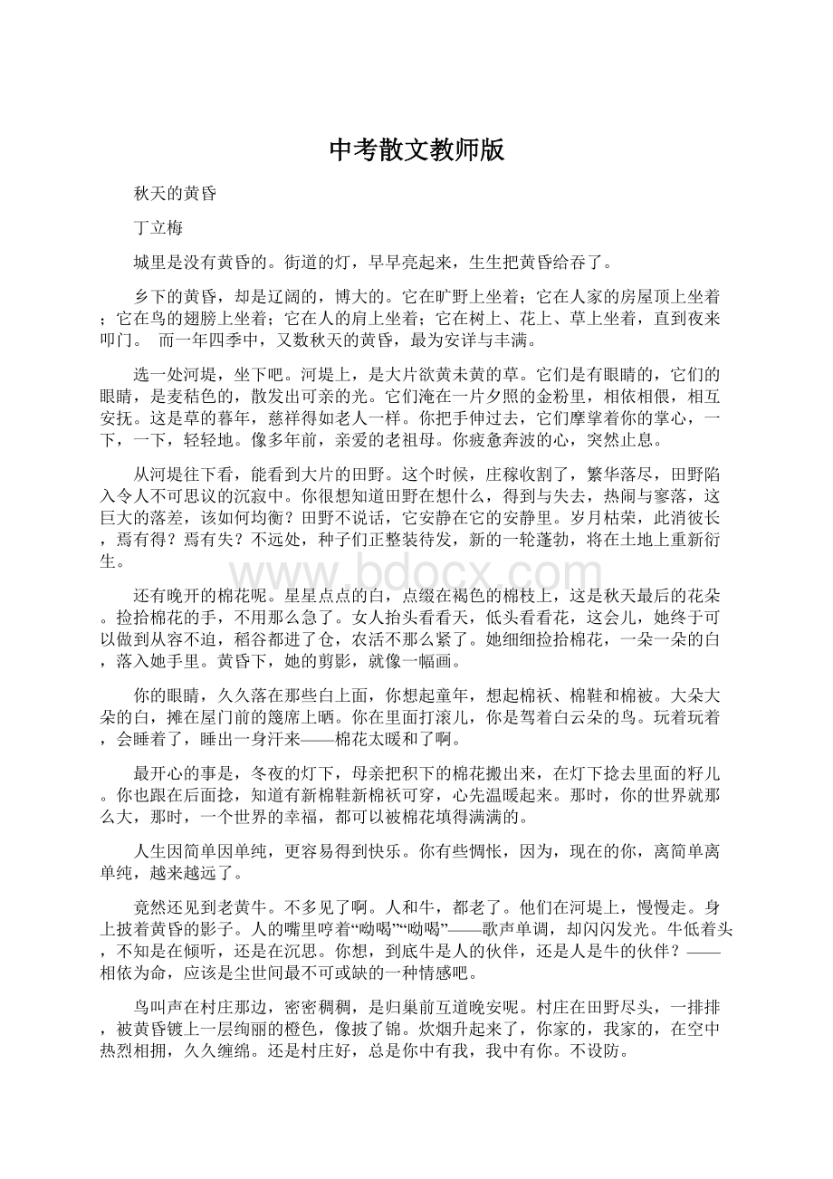 中考散文教师版Word格式.docx