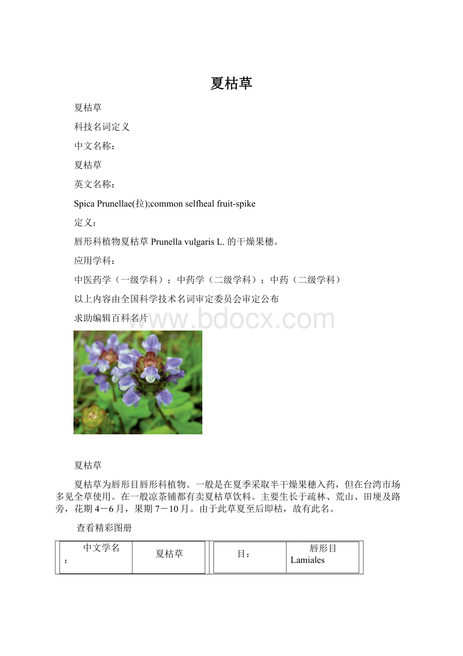 夏枯草Word文档下载推荐.docx