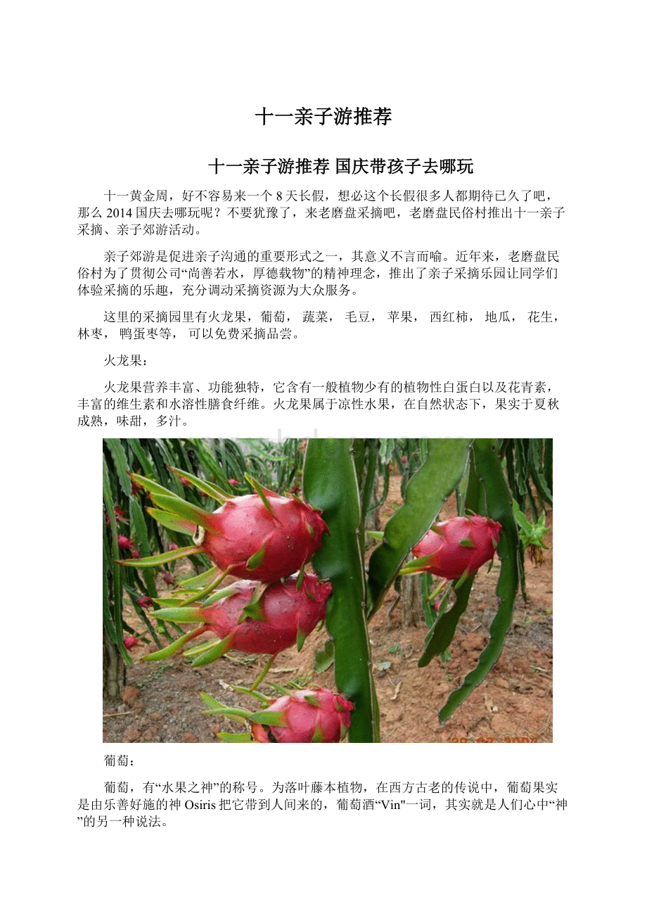 十一亲子游推荐.docx_第1页