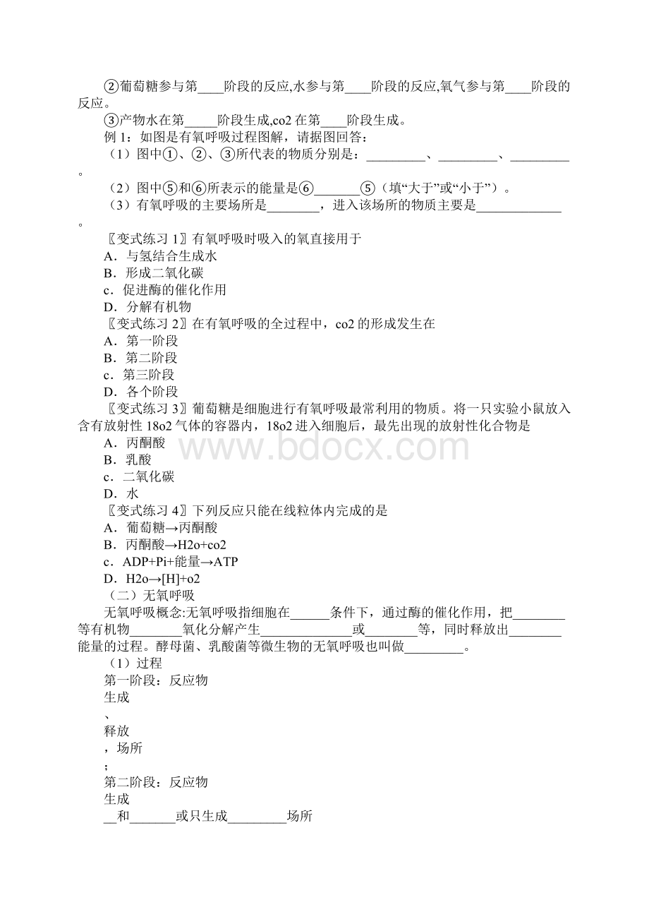 XX届高考生物知识学习总结要点考试复习学习要点 细胞呼吸.docx_第2页