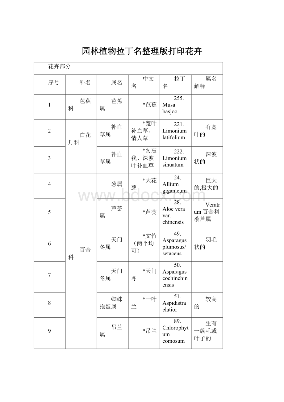 园林植物拉丁名整理版打印花卉Word文档下载推荐.docx