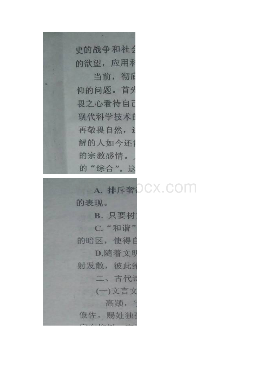 河南省内黄一中高三高考仿真考试语文试题和答案.docx_第2页