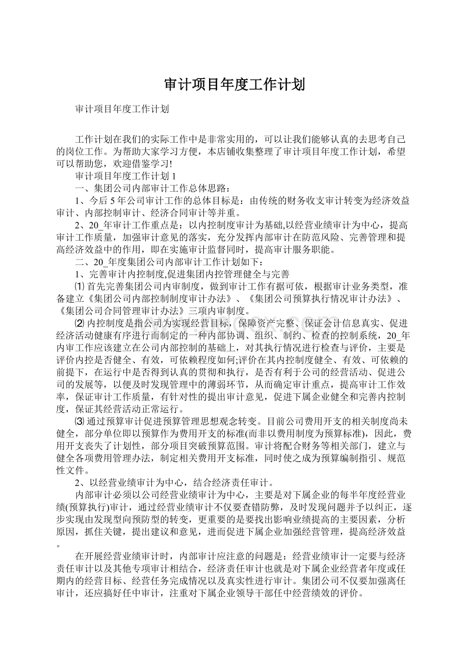 审计项目年度工作计划.docx_第1页