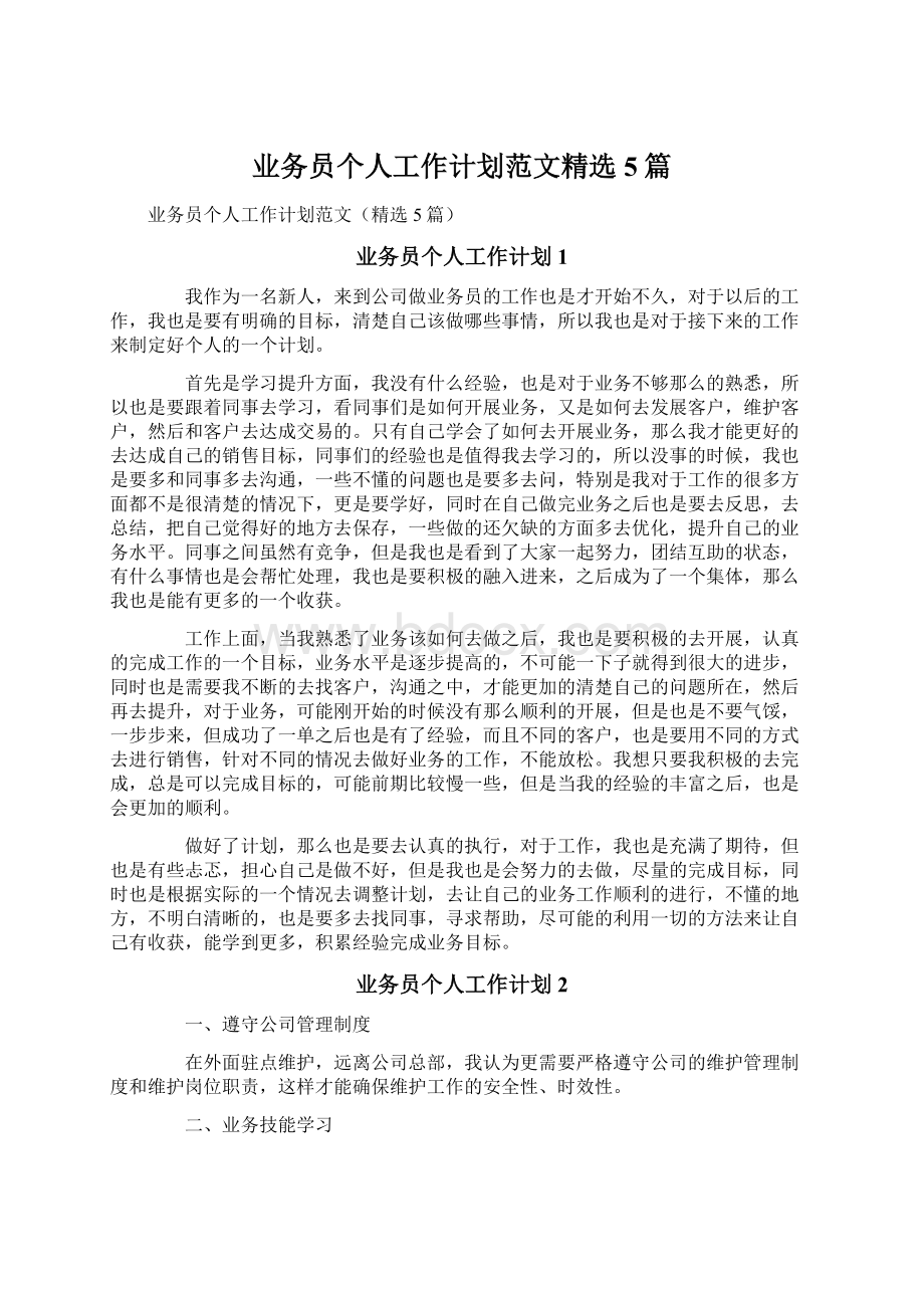 业务员个人工作计划范文精选5篇Word文档格式.docx_第1页