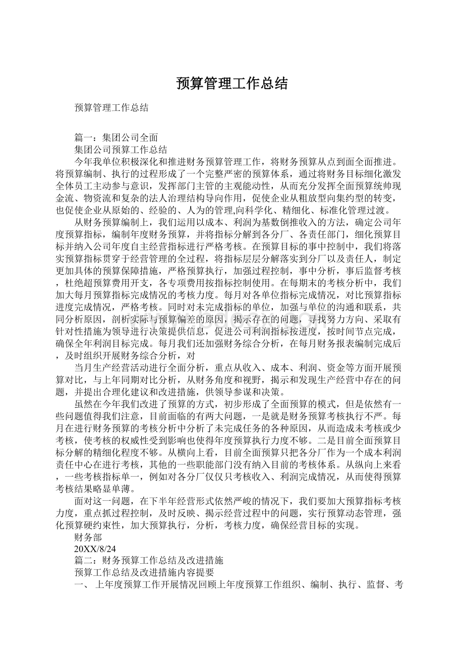 预算管理工作总结文档格式.docx