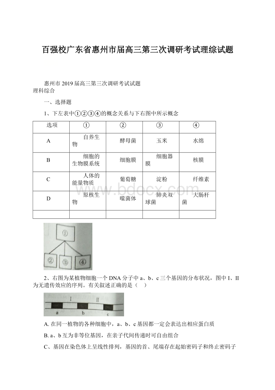 百强校广东省惠州市届高三第三次调研考试理综试题.docx_第1页