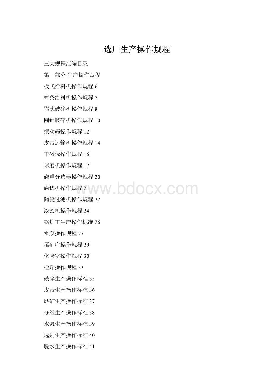 选厂生产操作规程文档格式.docx