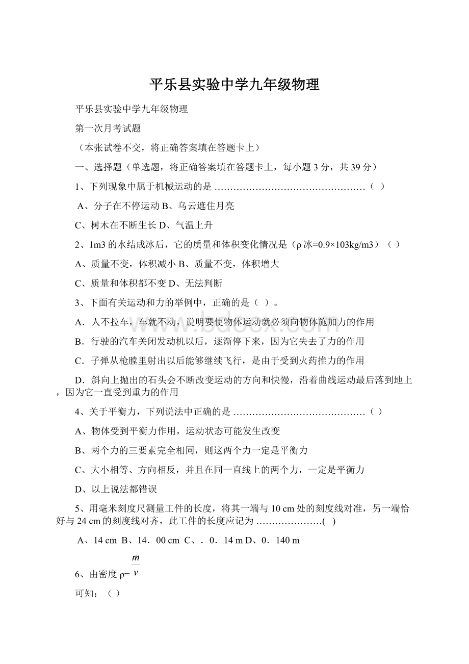 平乐县实验中学九年级物理文档格式.docx