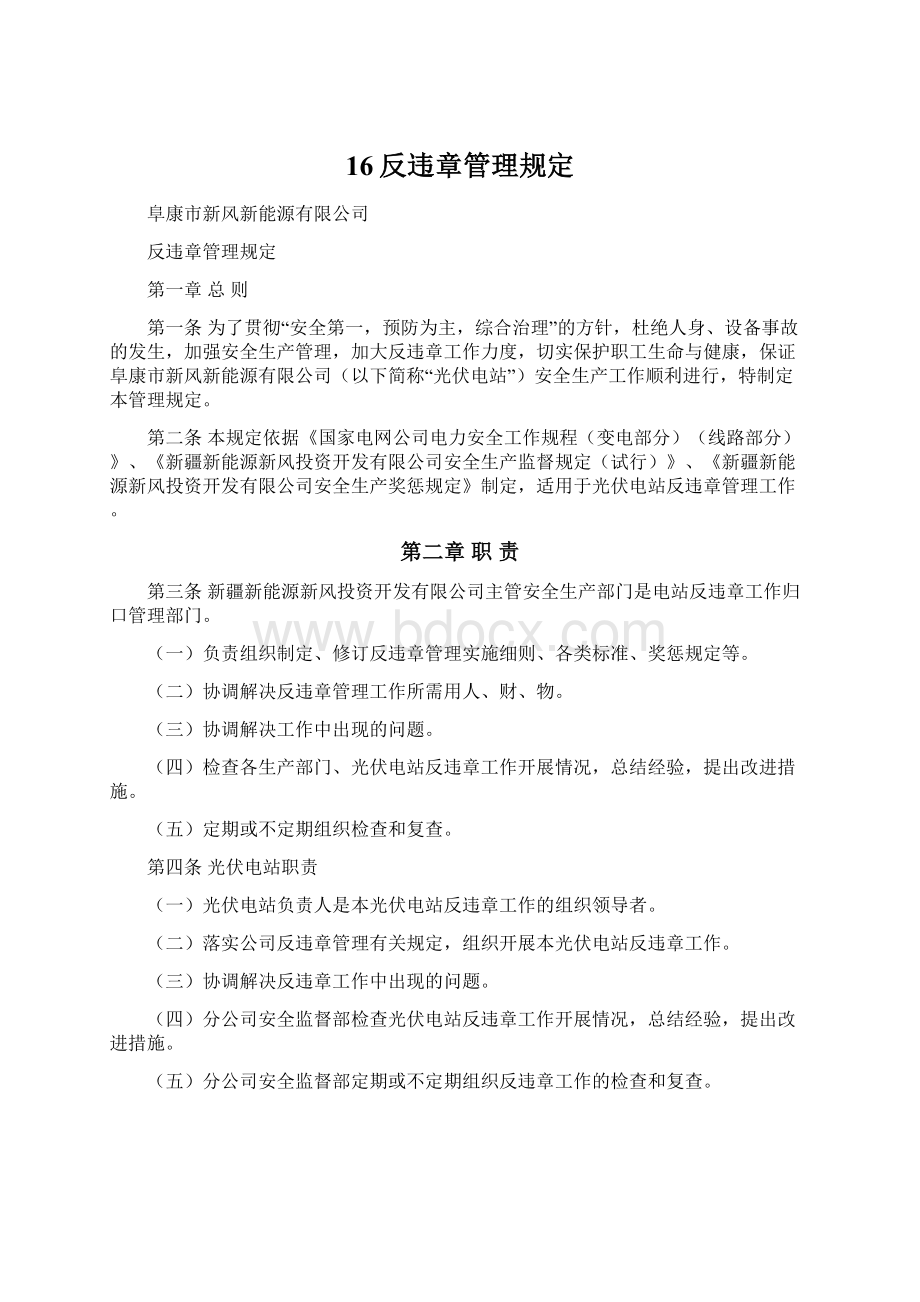 16反违章管理规定.docx