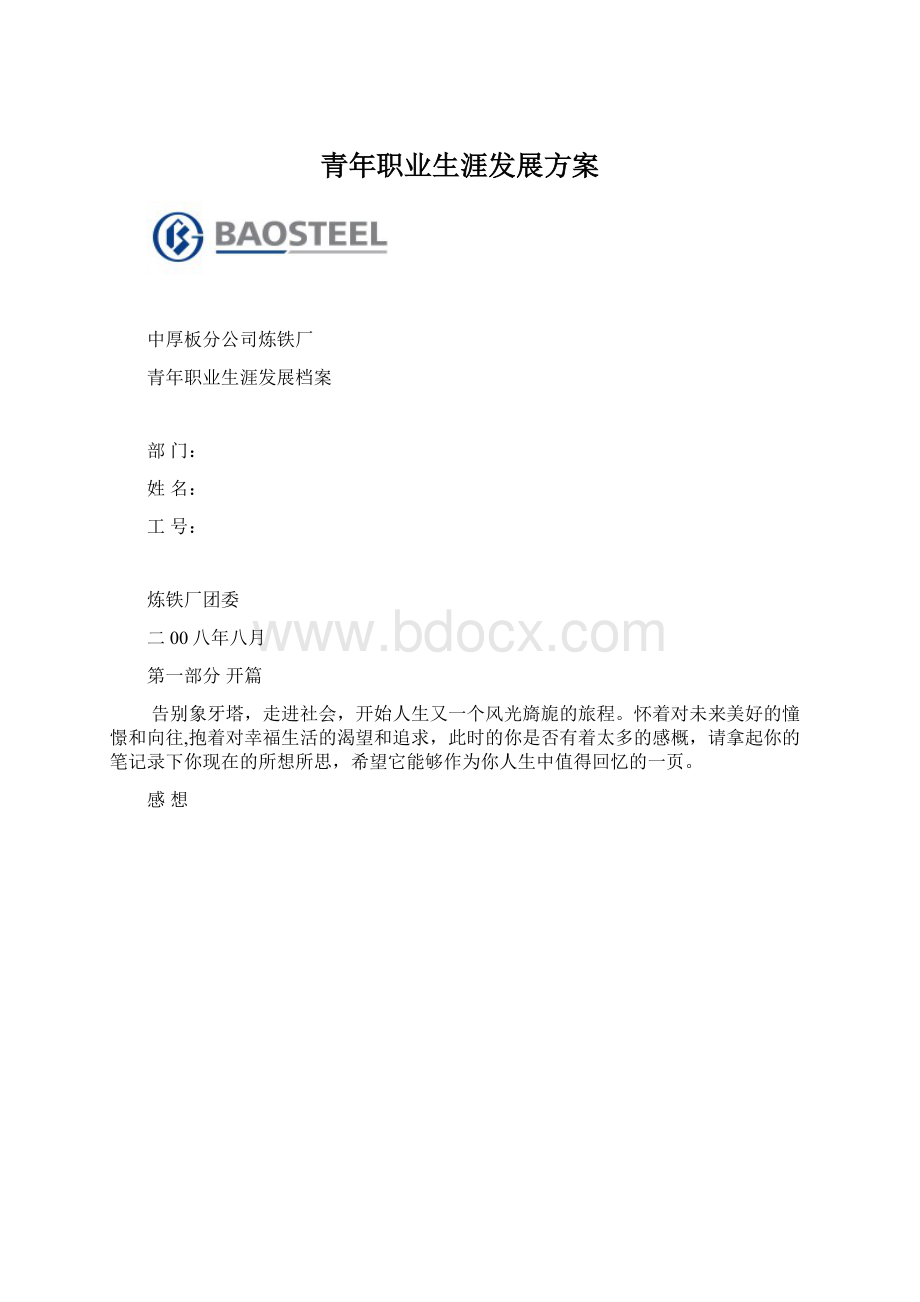 青年职业生涯发展方案Word格式.docx