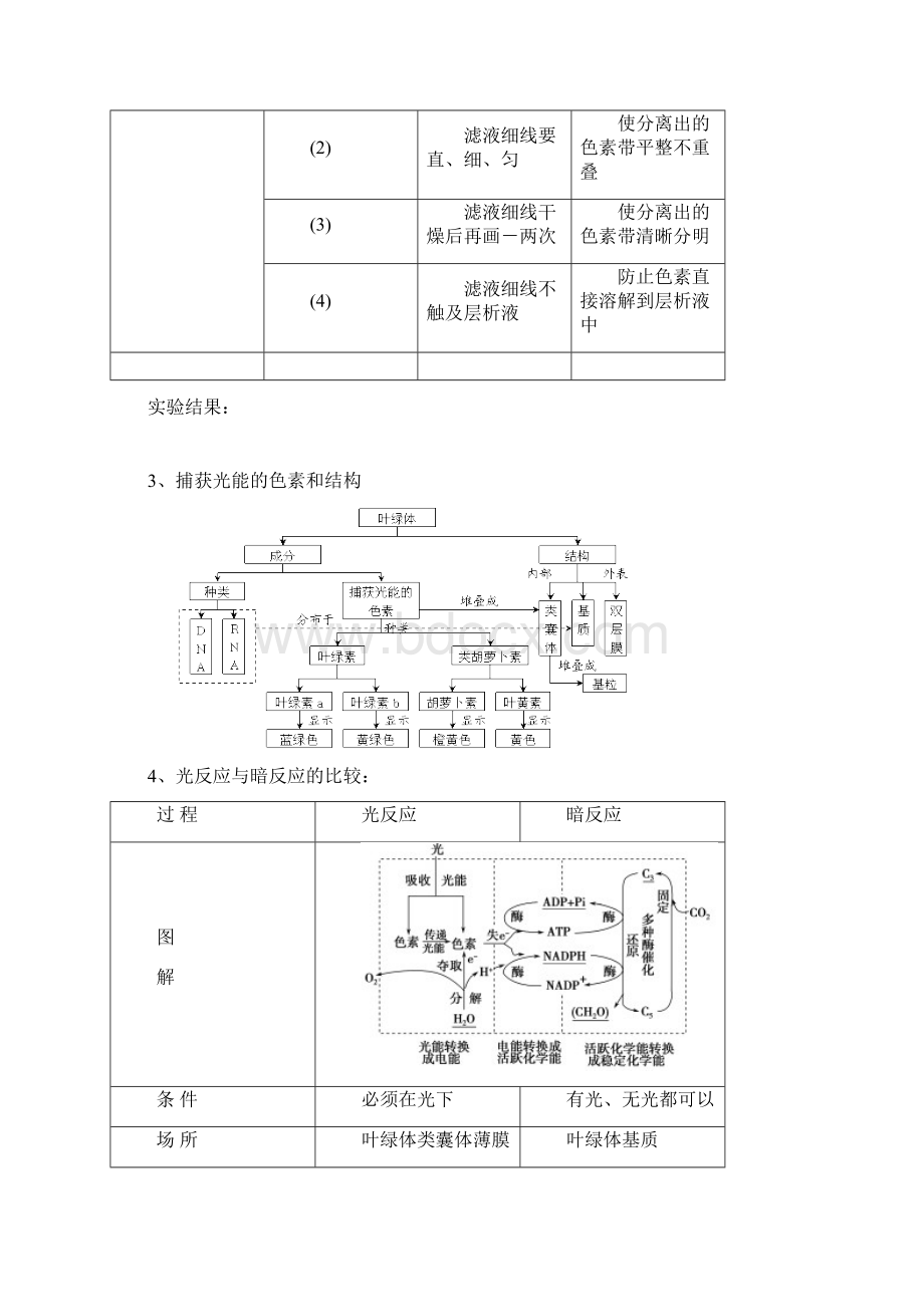 光合作用复习专题Word下载.docx_第2页