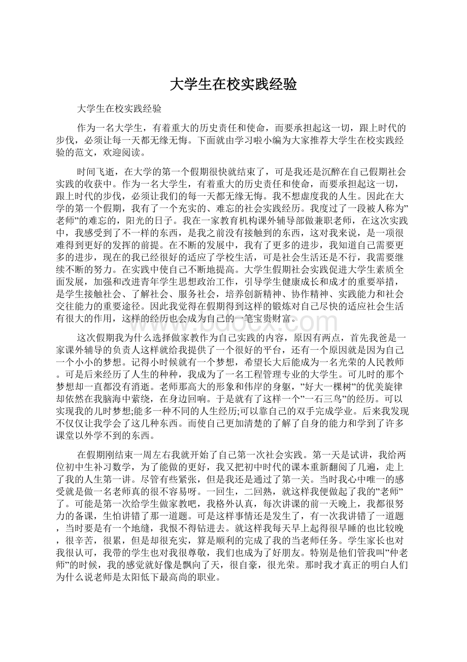 大学生在校实践经验.docx_第1页