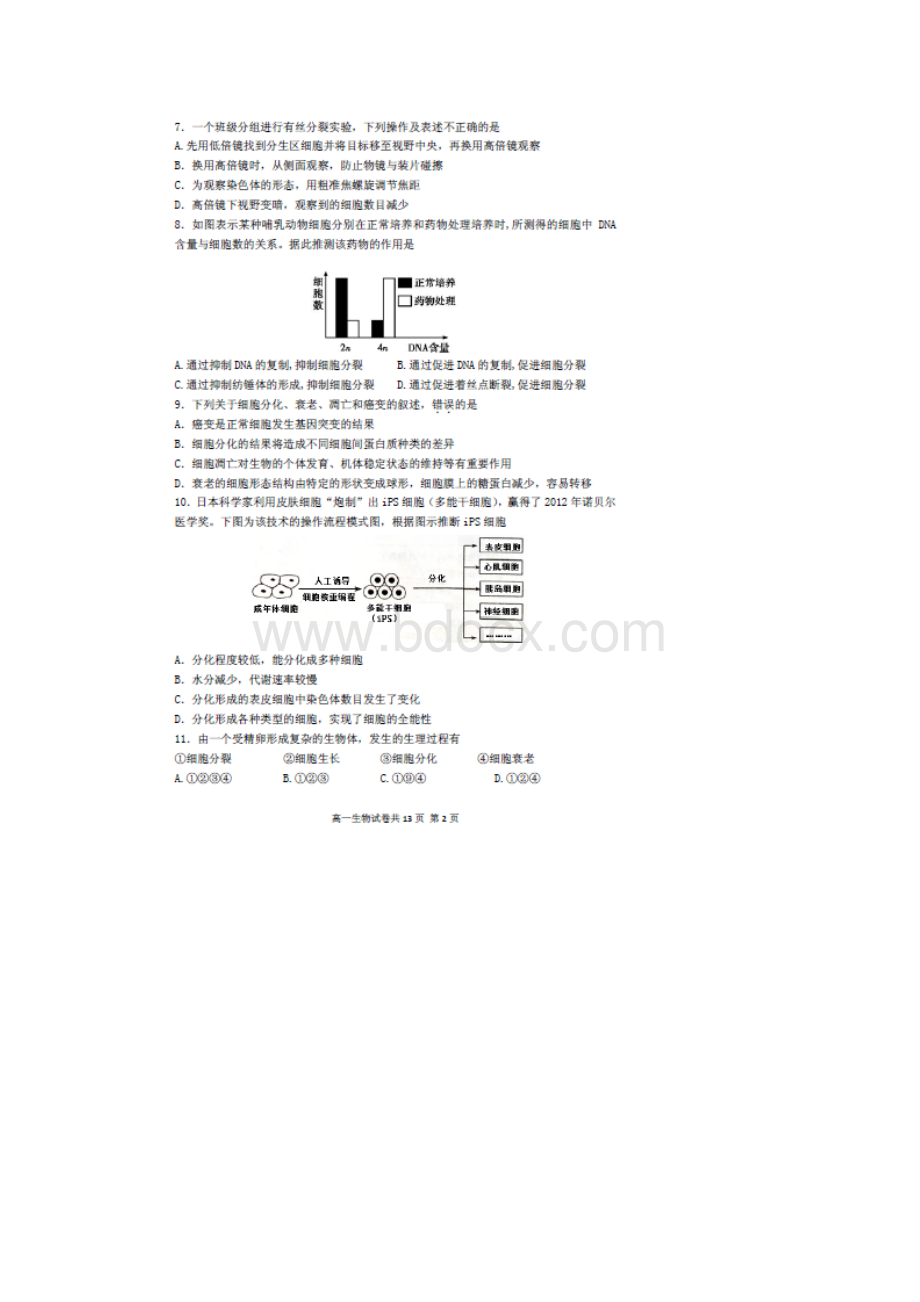 安徽省蚌埠五中蚌埠十二中学年高一生物下学期期中联考试题Word文档格式.docx_第2页