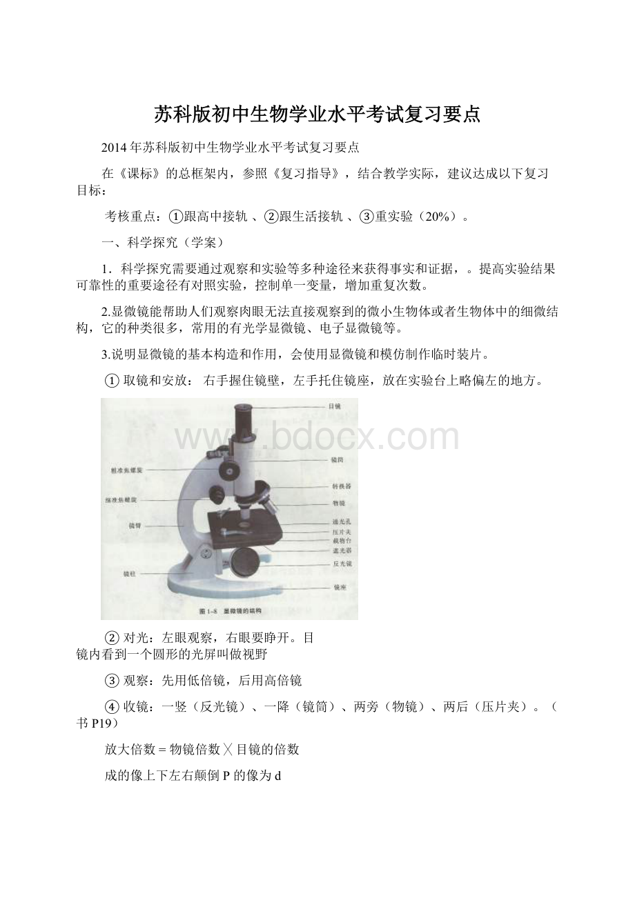 苏科版初中生物学业水平考试复习要点Word下载.docx