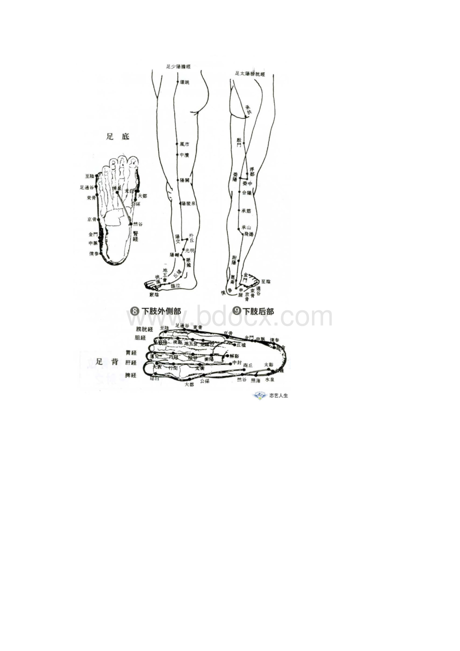 中医人体穴位图案详解全套汇编.docx_第3页