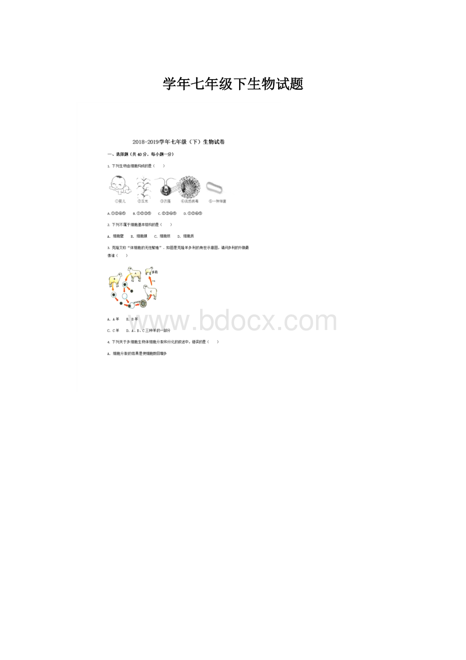 学年七年级下生物试题文档格式.docx