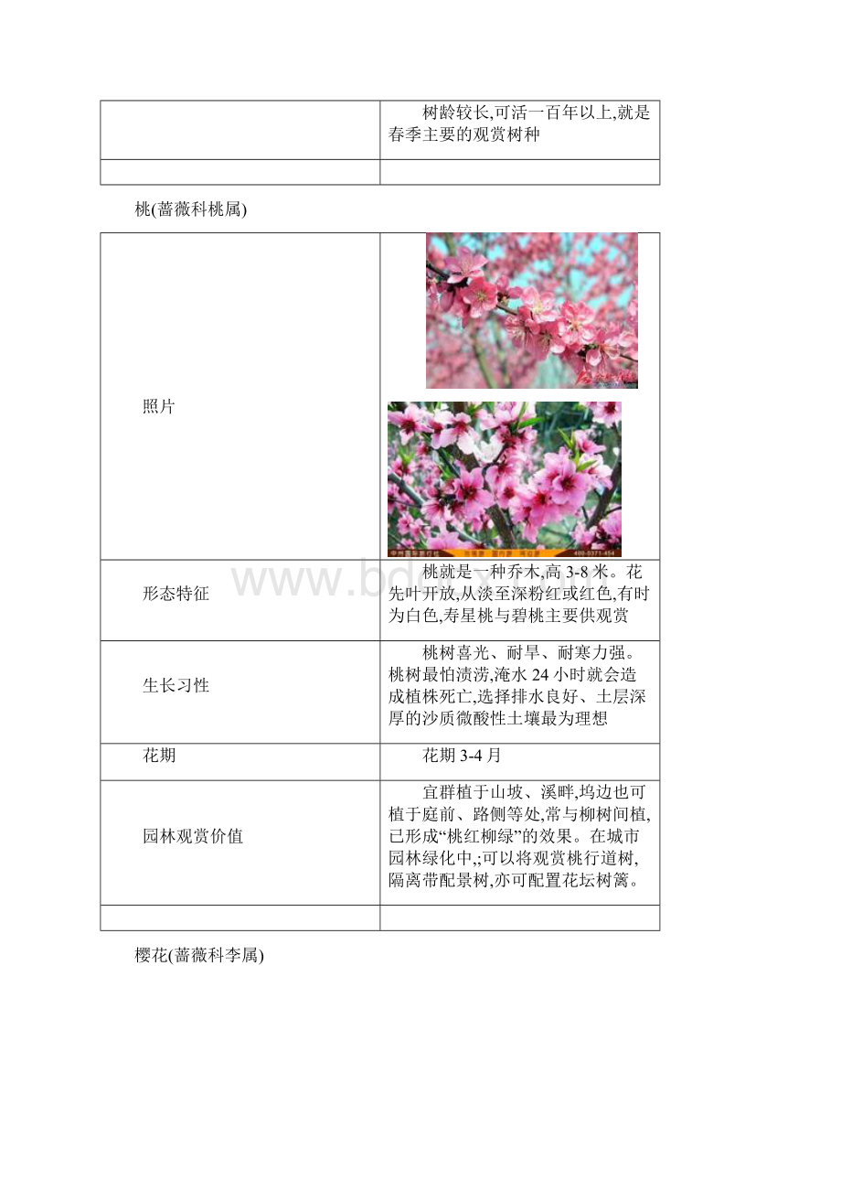 春季常见开花植物 2文档格式.docx_第2页