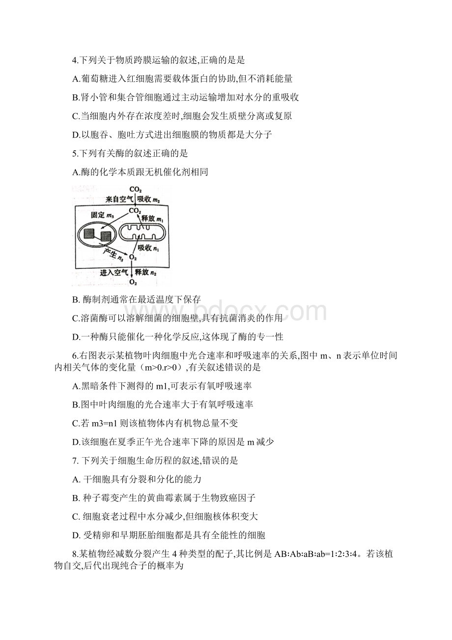 新疆自治区届高三上学期第一次高考诊断性考试一模生物试题及答案.docx_第2页