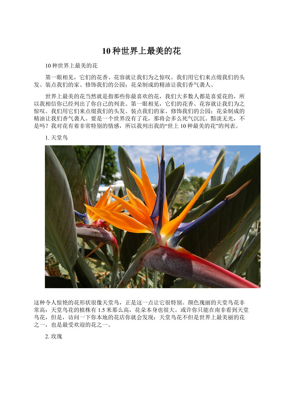 10种世界上最美的花.docx