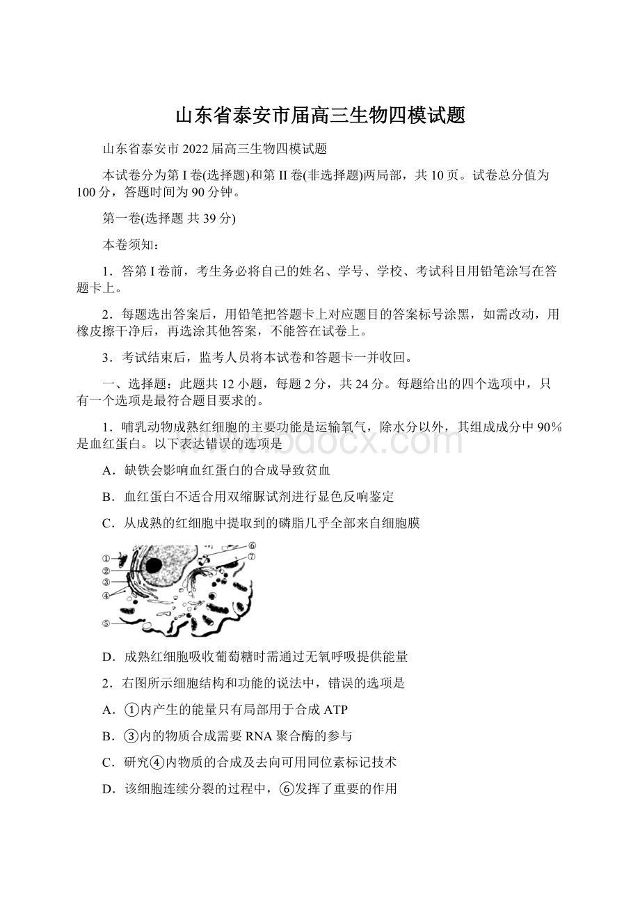 山东省泰安市届高三生物四模试题Word格式文档下载.docx_第1页