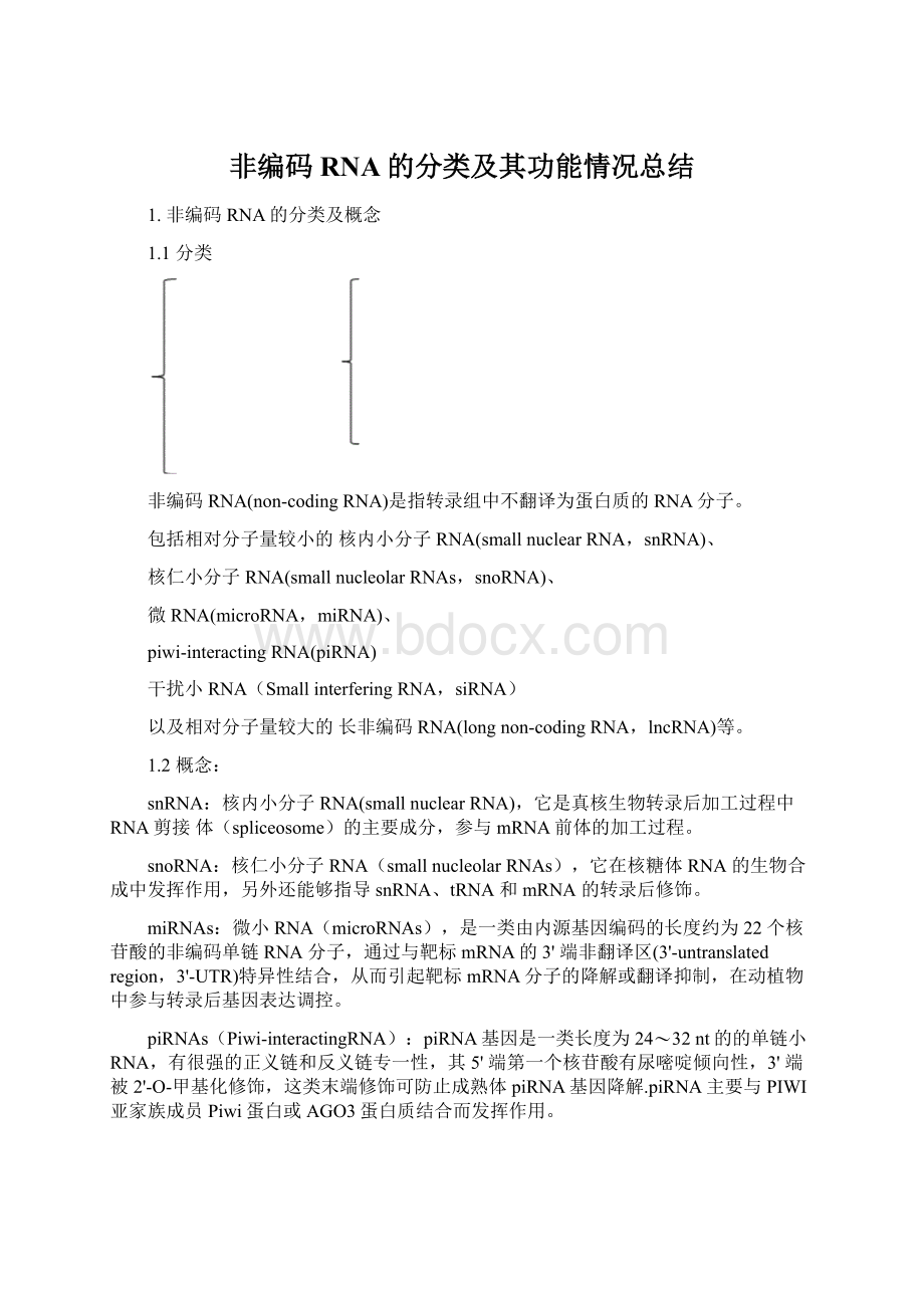 非编码RNA的分类及其功能情况总结Word文档下载推荐.docx