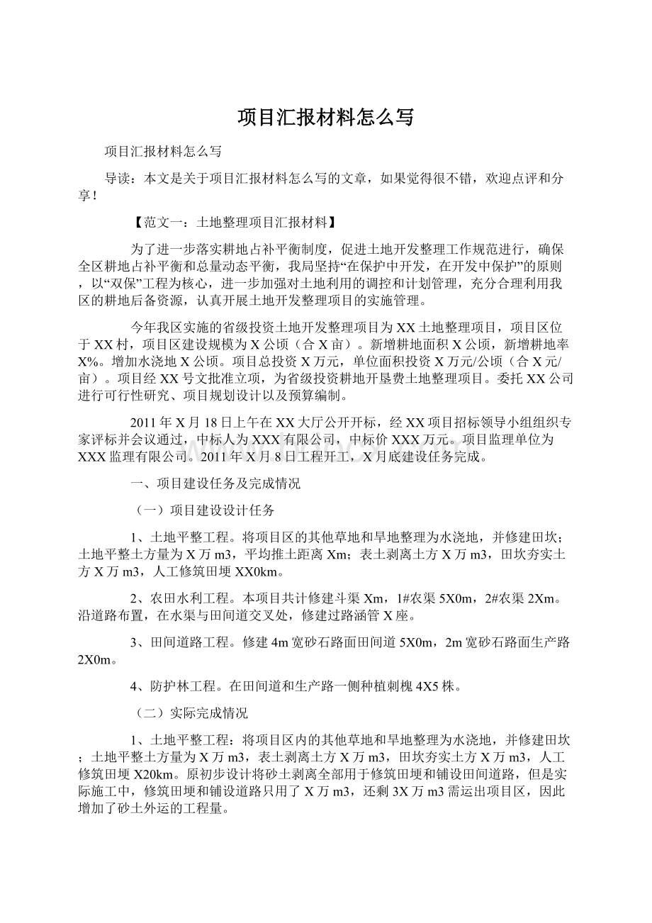 项目汇报材料怎么写Word格式.docx