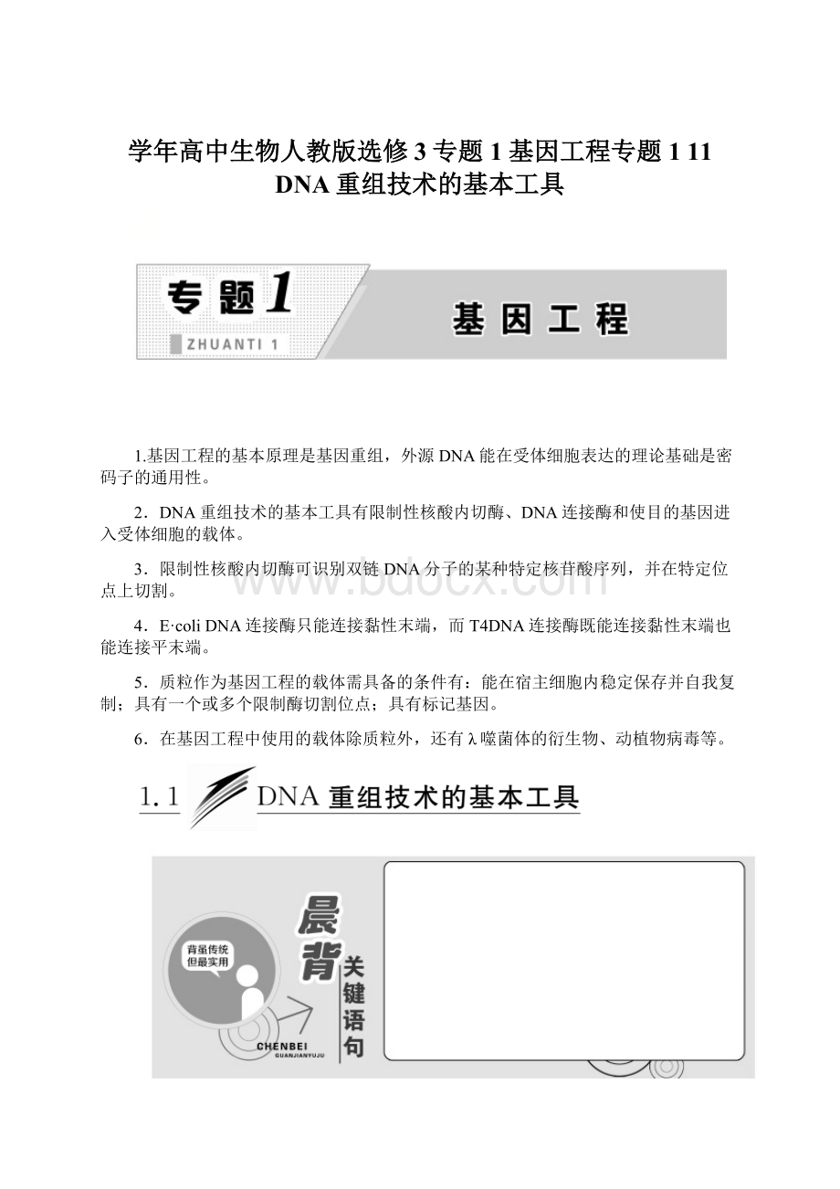 学年高中生物人教版选修3专题1 基因工程专题111 DNA重组技术的基本工具Word格式.docx