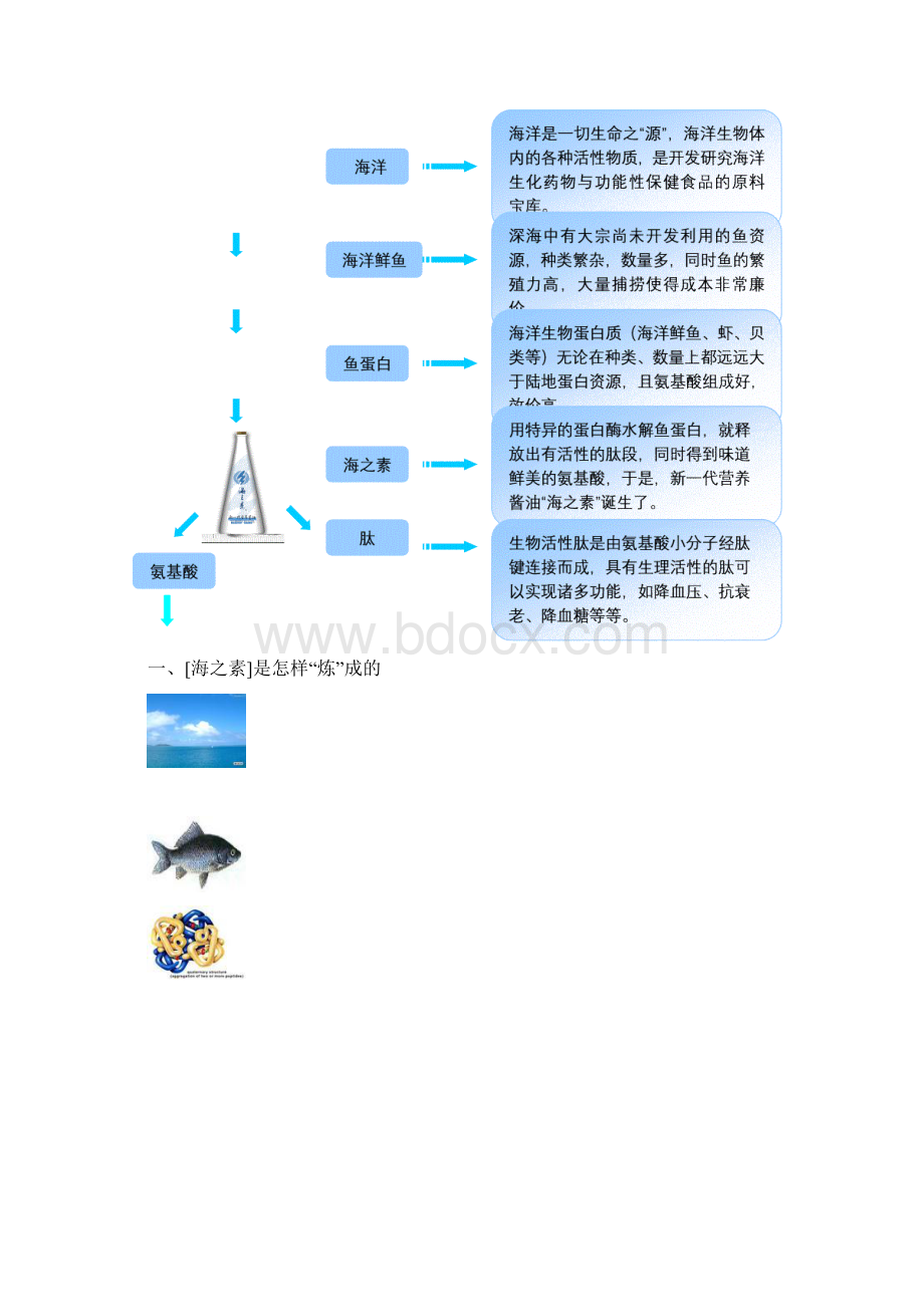 挑战杯金奖海之素创业计划书.docx_第3页