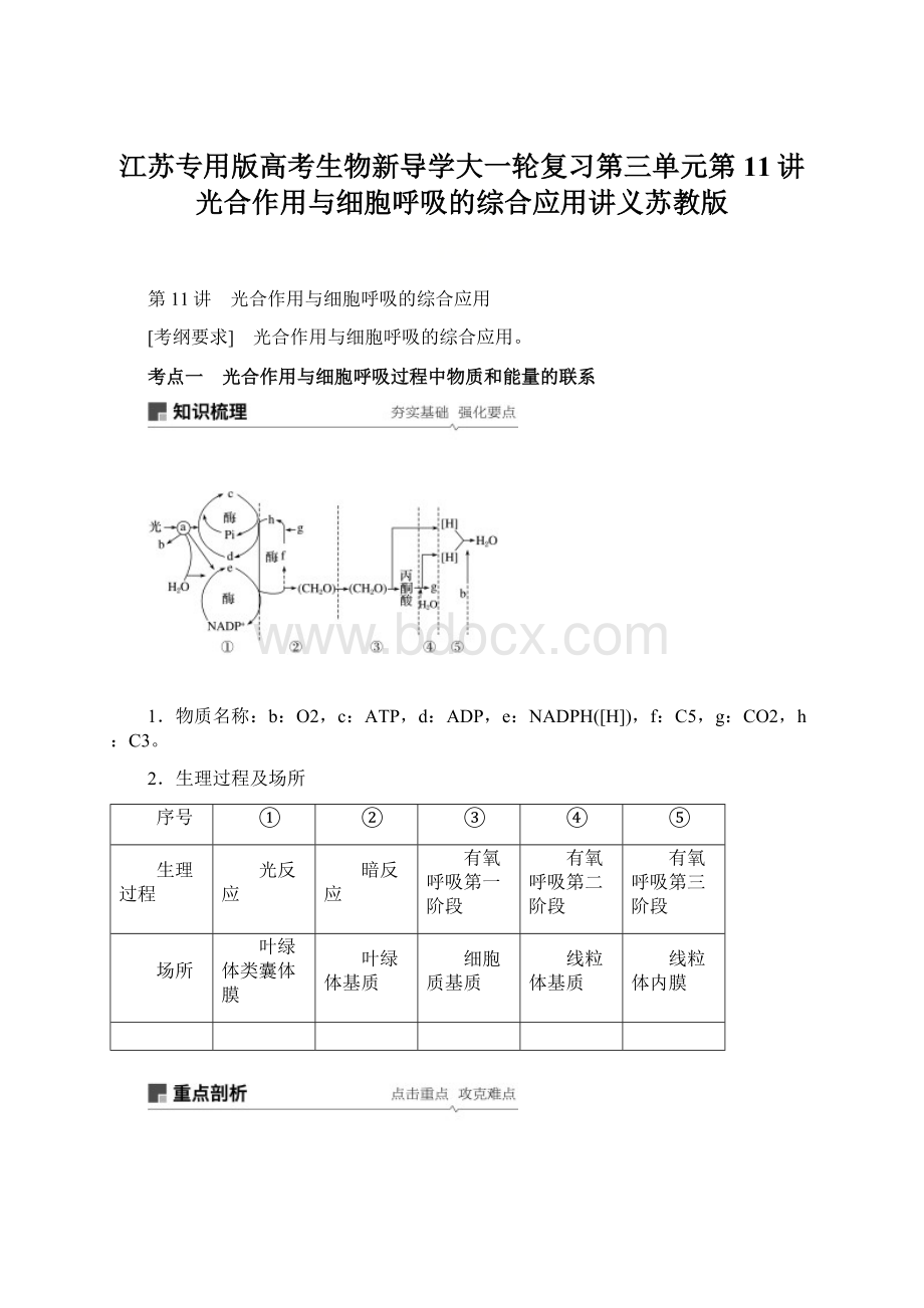 江苏专用版高考生物新导学大一轮复习第三单元第11讲光合作用与细胞呼吸的综合应用讲义苏教版文档格式.docx