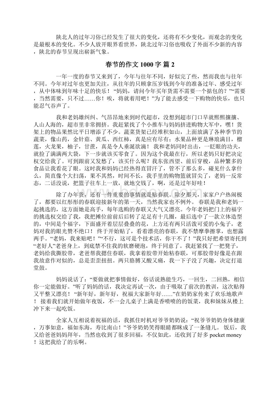 关于春节的作文1000字十篇.docx_第2页