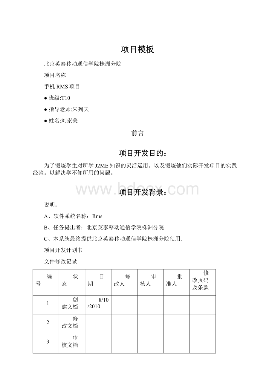 项目模板文档格式.docx