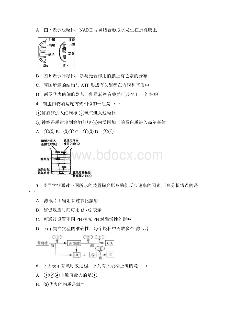 河北省永年县学年高二生物下学期期末考试试题.docx_第2页