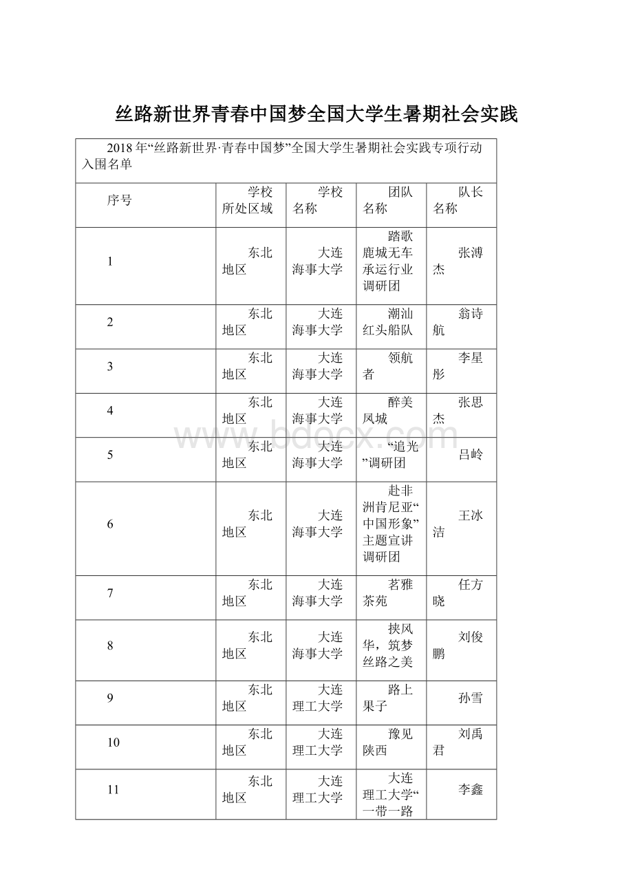 丝路新世界青春中国梦全国大学生暑期社会实践Word下载.docx