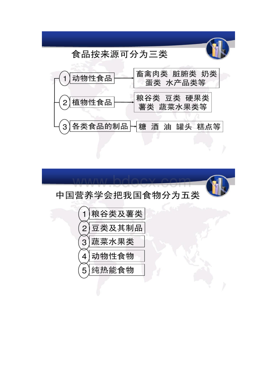 食品营养学第九章各类食品的营养价值.docx_第2页