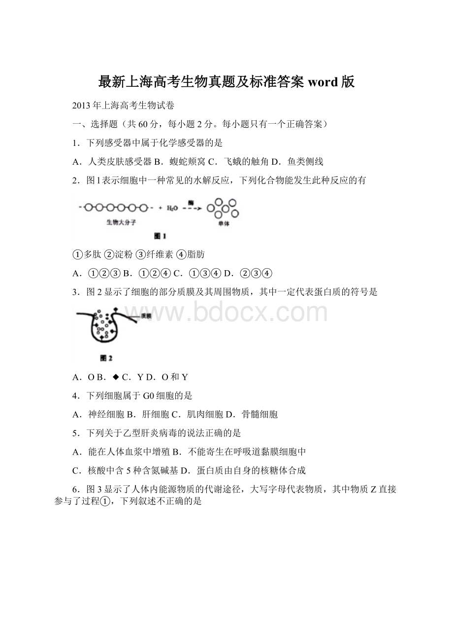 最新上海高考生物真题及标准答案word版Word文件下载.docx