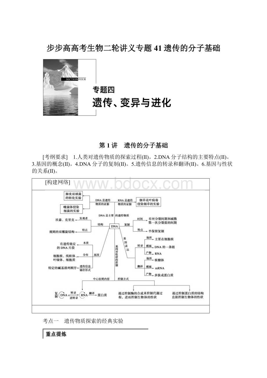 步步高高考生物二轮讲义专题41遗传的分子基础文档格式.docx