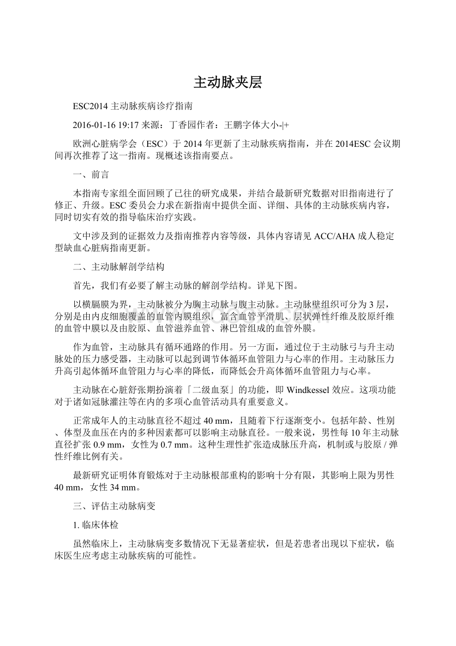 主动脉夹层Word文档下载推荐.docx_第1页