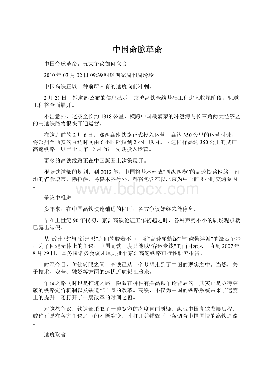 中国命脉革命Word文件下载.docx