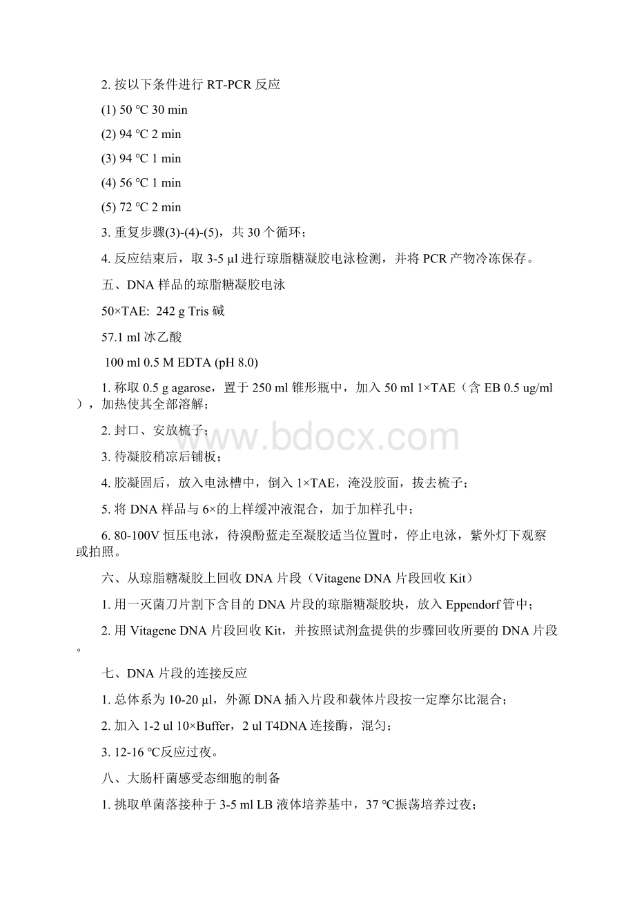 分子生物学常用实验技术及方法.docx_第3页