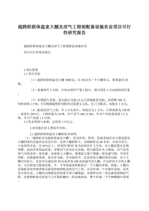 超跨距联体温室大棚及沼气工程相配套设施农业项目可行性研究报告Word文档格式.docx