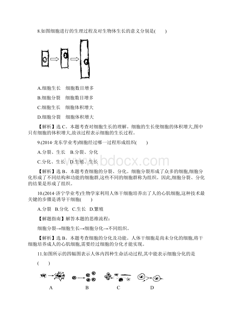 七年级生物上册细胞导学课一课两练提素能.docx_第3页