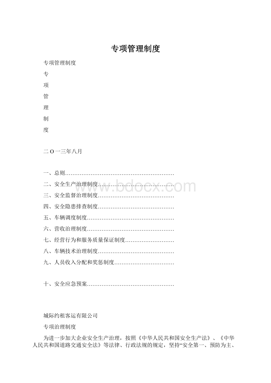 专项管理制度Word格式.docx