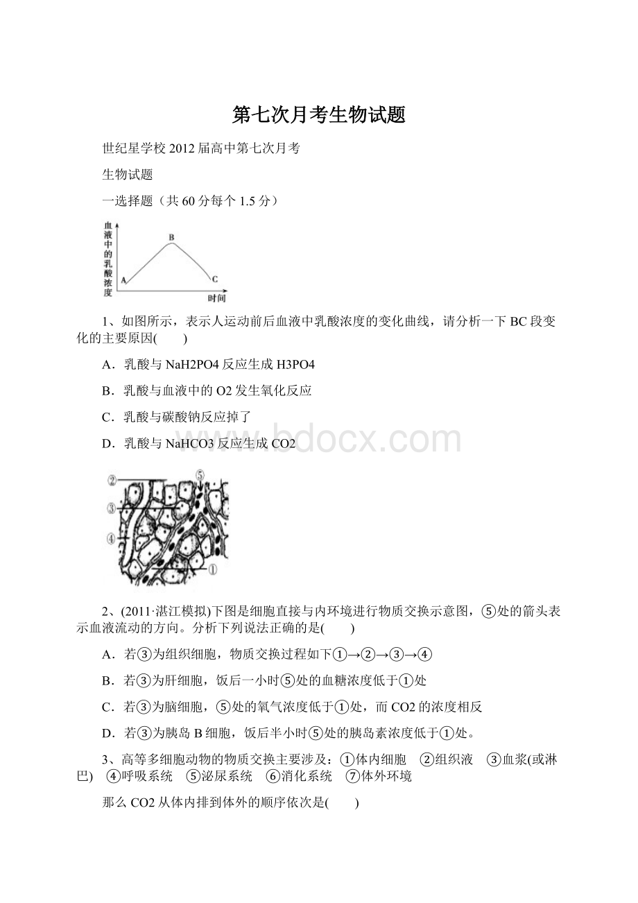 第七次月考生物试题.docx