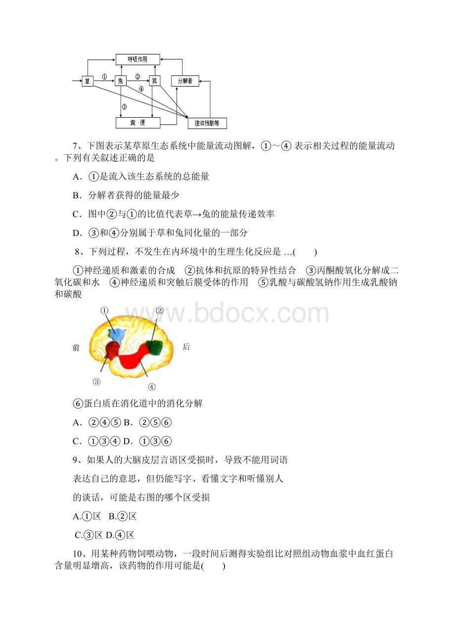 第七次月考生物试题Word文档格式.docx_第3页