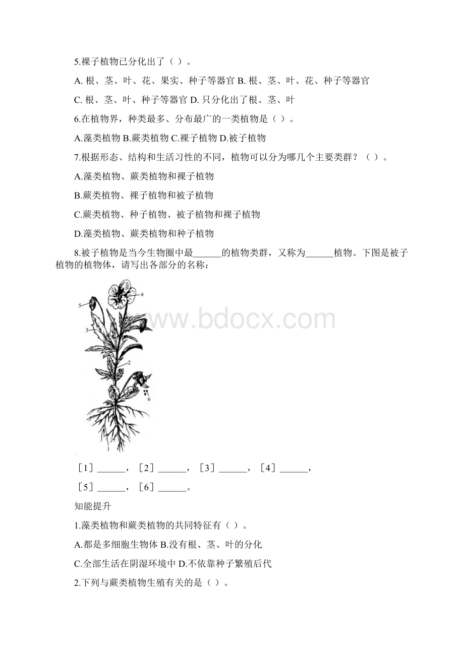 生物圈中的绿色植物文档格式.docx_第3页