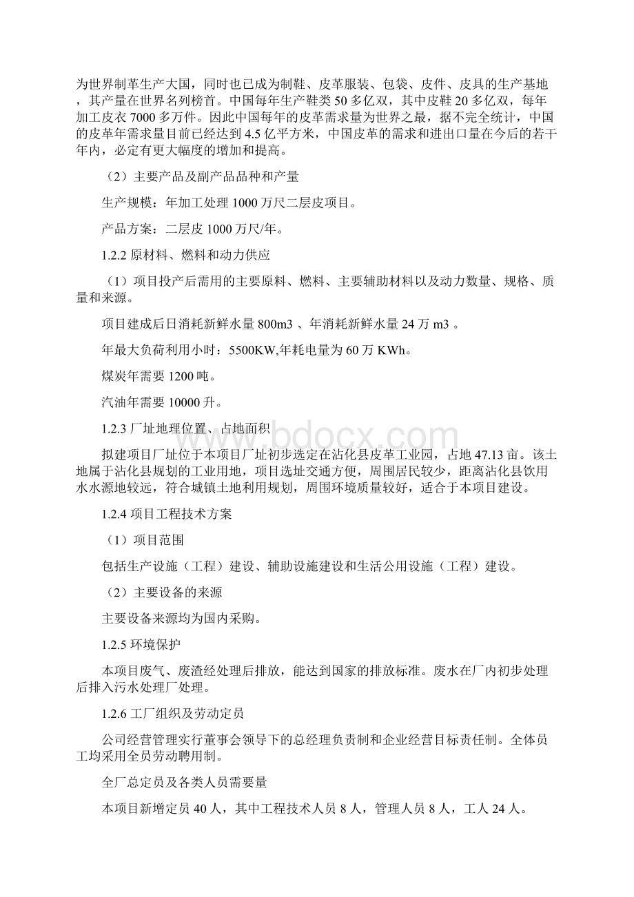 年加工处理1000万尺二层皮项目可行性研究报告Word格式文档下载.docx_第3页