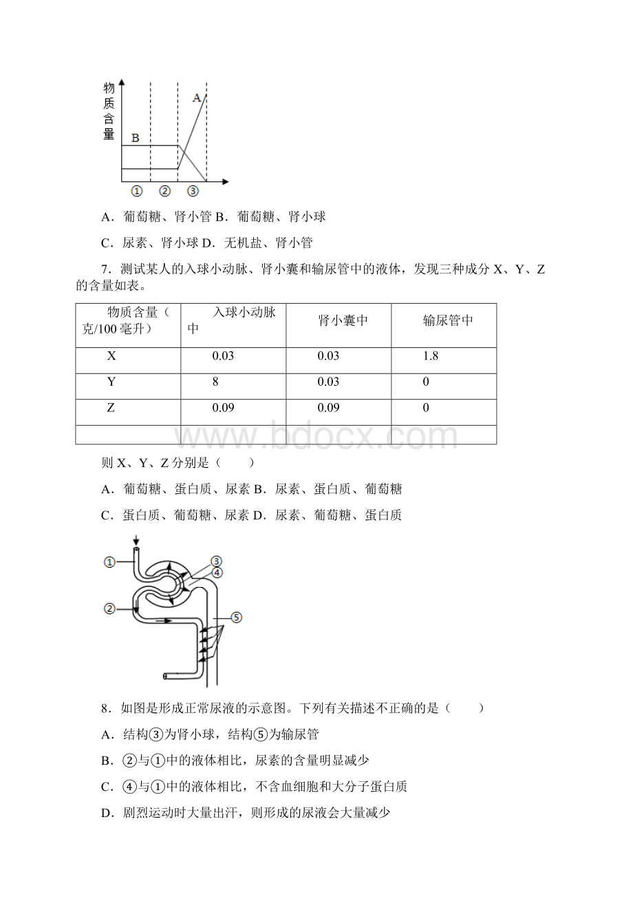 人教版生物七年级下册 第5章 人体内废物的排出 测试题含答案.docx_第2页