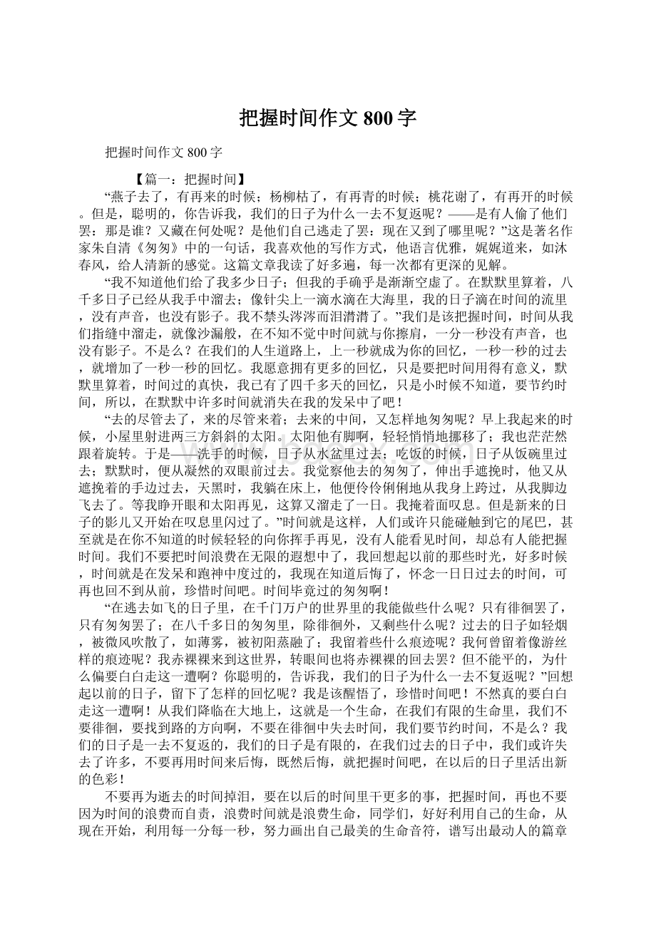 把握时间作文800字Word文件下载.docx