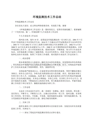 环境监测技术工作总结Word文档下载推荐.docx