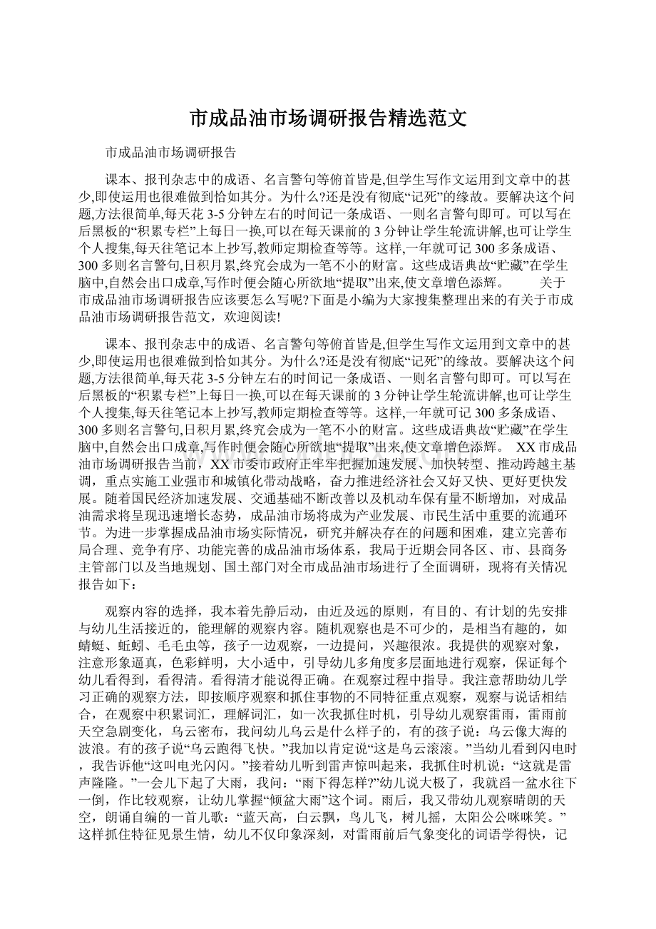 市成品油市场调研报告精选范文.docx